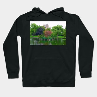 Boston Common Study 9 Hoodie